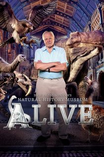 دانلود دوبله فارسی فیلم David Attenborough 2014 دانلود دوبله فارسی فیلم David Attenborough 2014