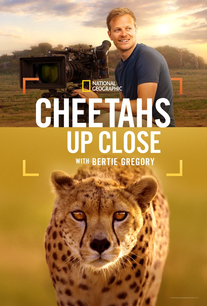 دانلود فیلم Cheetahs Up Close with Bertie Gregory 2026